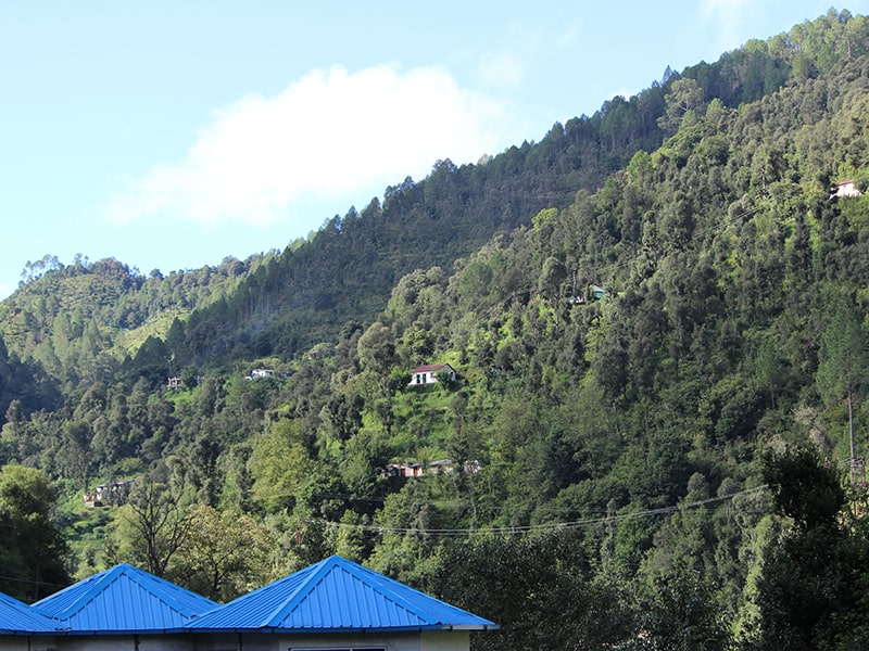 Nature View - Best Hotels in Mukteshwar